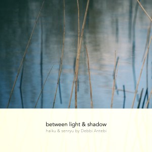 2017-04-25_19-40-52_680